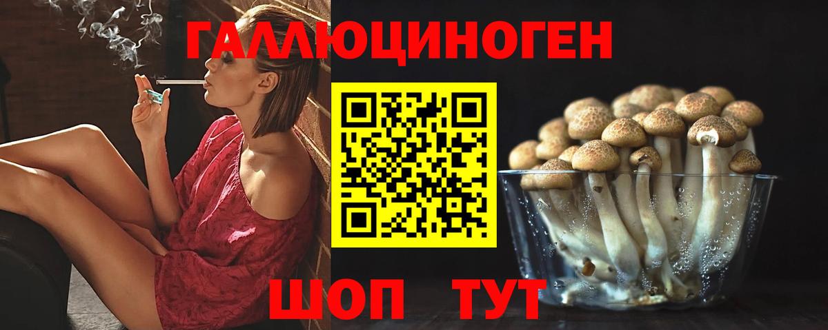 Галлюциногенные грибы GOLDEN TEACHER Ульяновск